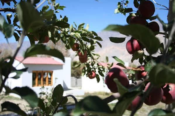 Himalayan Eco Resort Hundar Exterior foto
