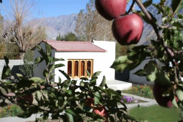 Himalayan Eco Resort Hundar Exterior foto